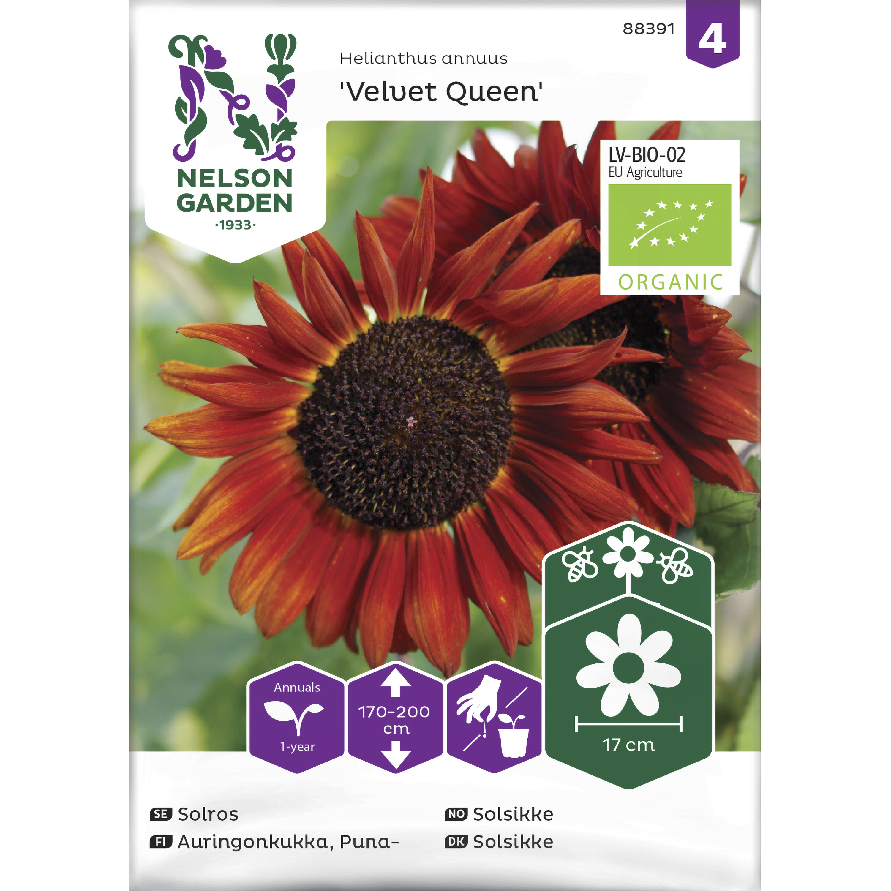 Fröer Nelson Garden Solros Velvet Queen Organic