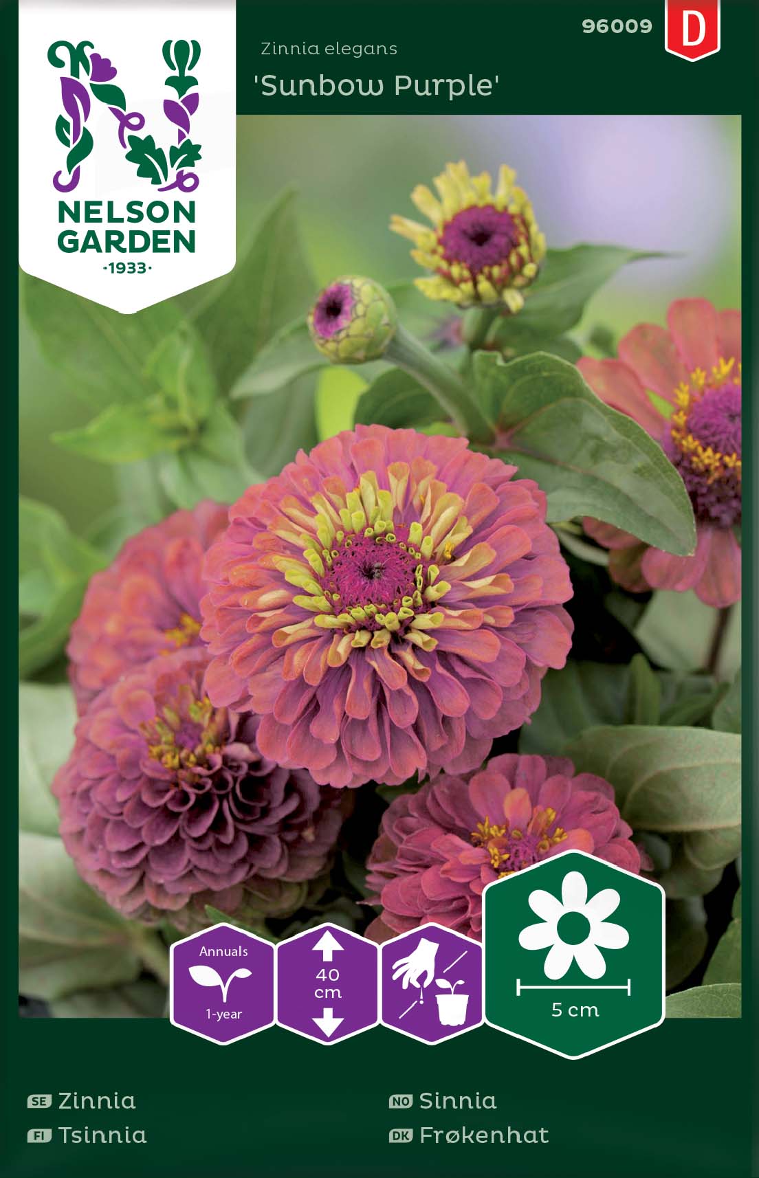 Fröer Nelson Garden Zinnia Sunbow Purple