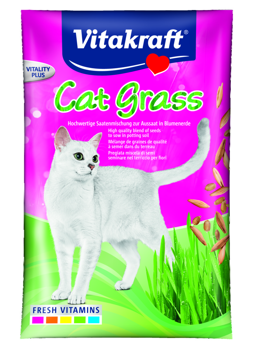 Kattgräs frön Vitakraft Refill 50g