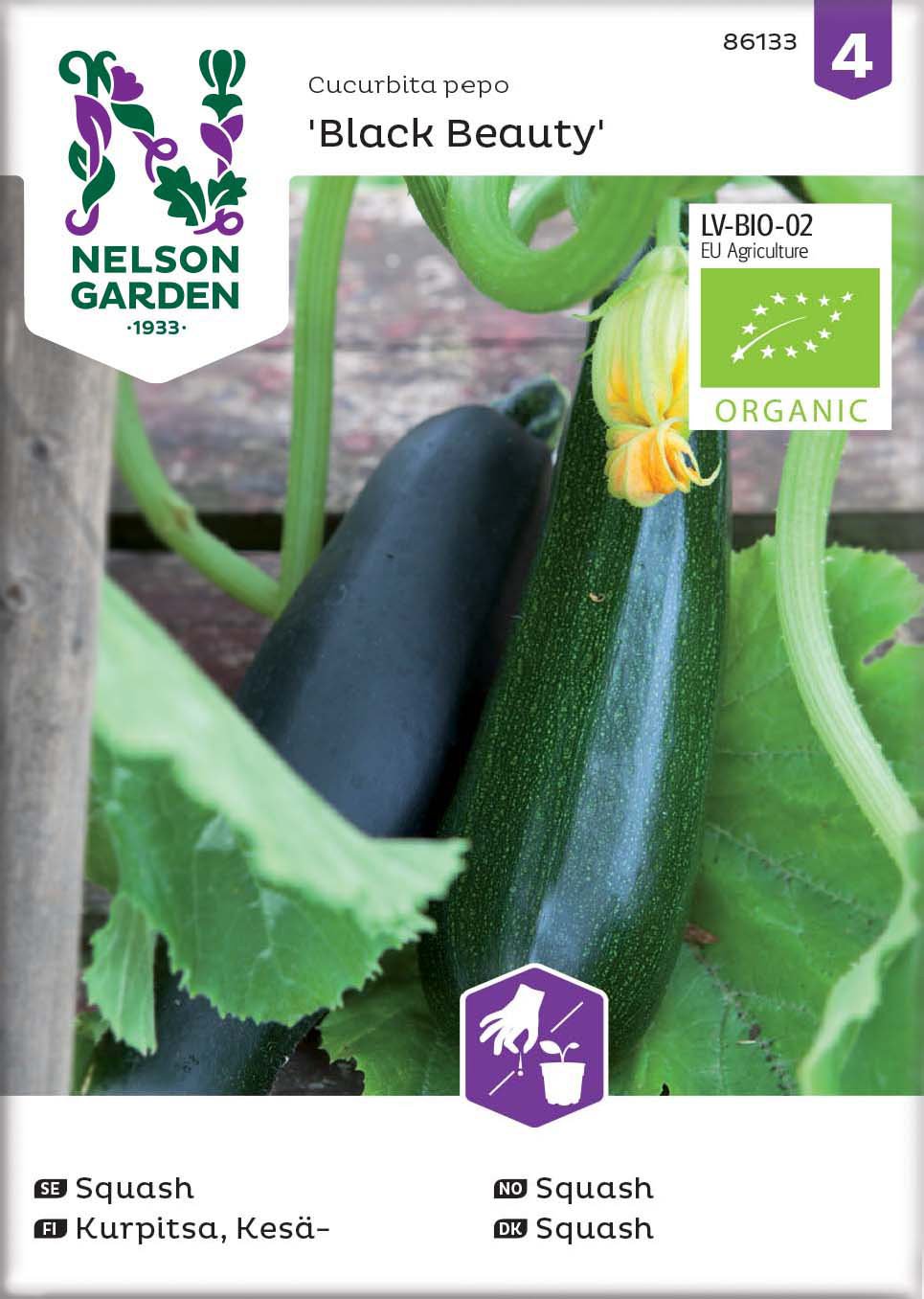 Fröer Nelson Garden Squash Black Beauty