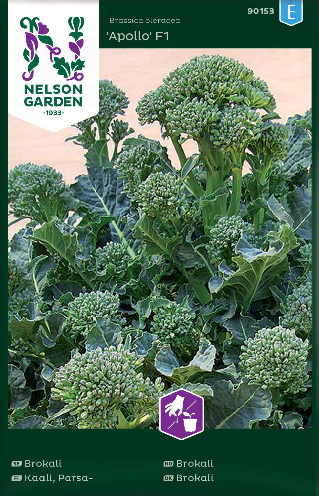 Fröer Nelson Garden Broccoli Apollo F1