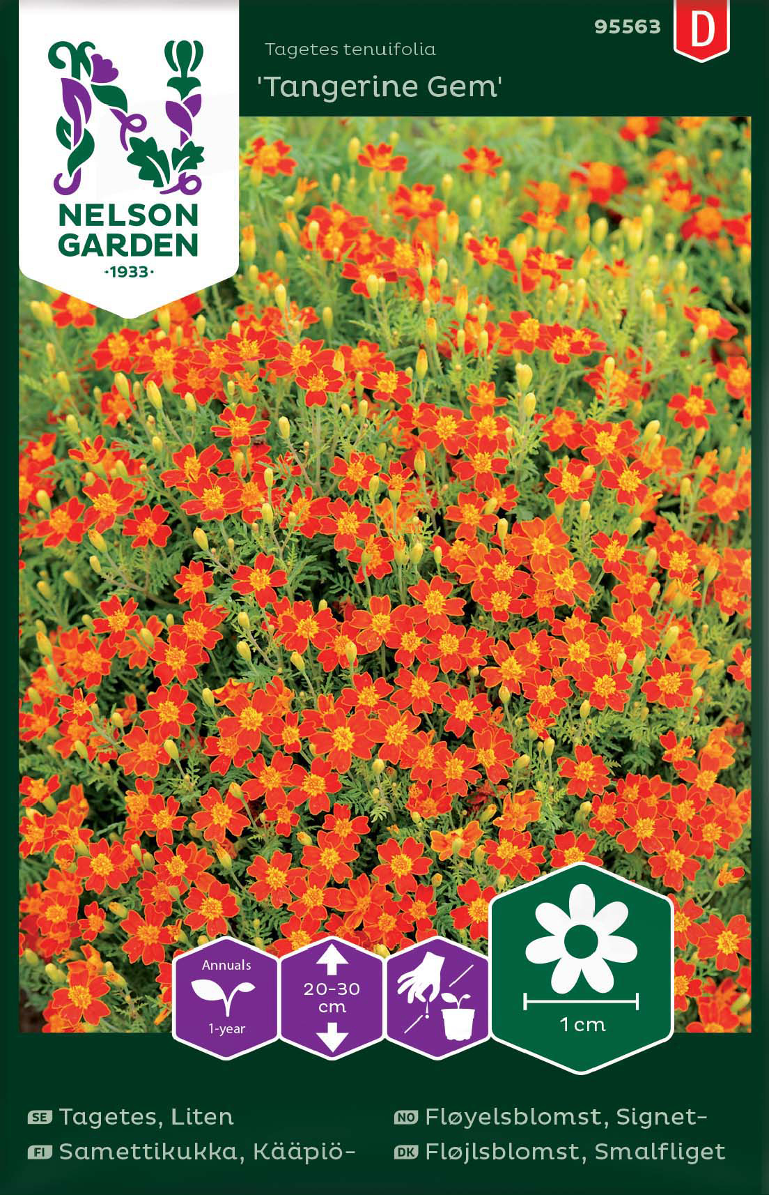 Fröer Nelson Garden Tagetes Tangerine Gem Liten