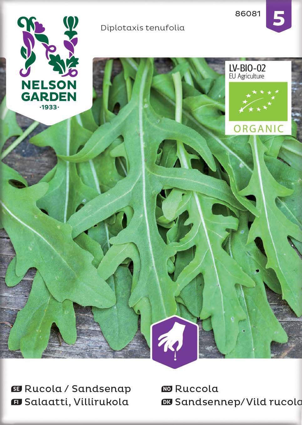 Fröer Nelson Garden Ruccola Sandsenap Organic