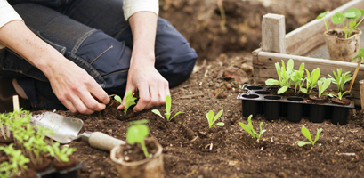 Förodling hos Granngården
