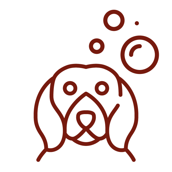 Boka hundbad och föning via Granngårdens husdjurshjälpen