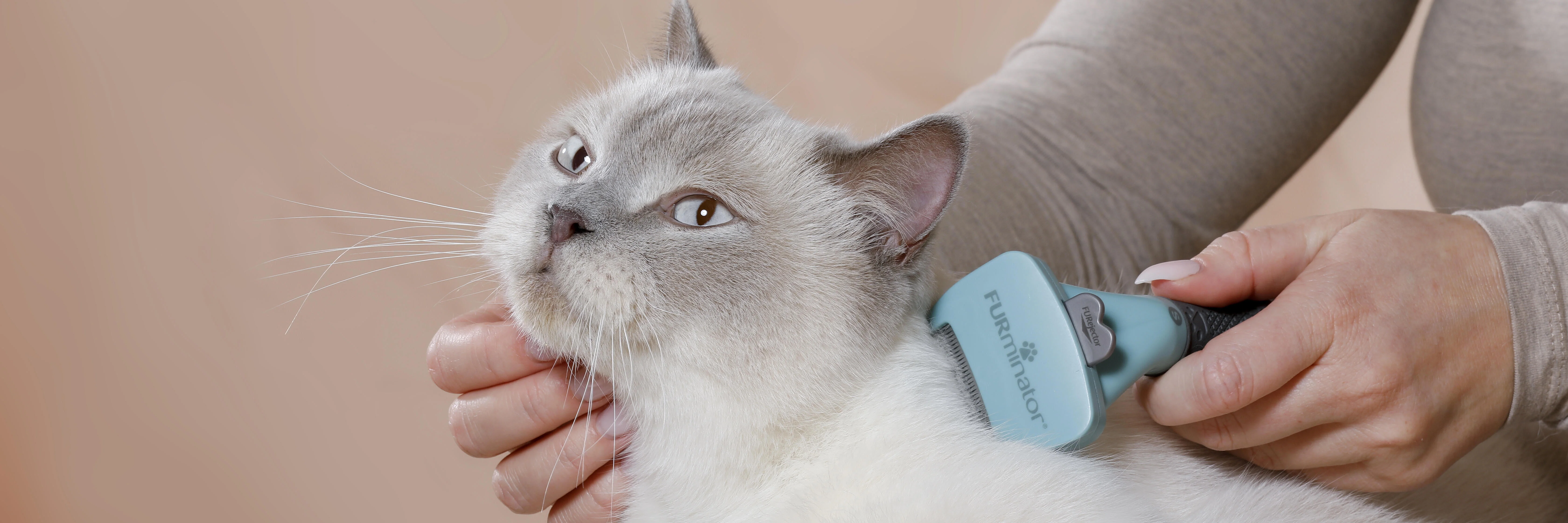 Köp Kattborste på granngarden.se