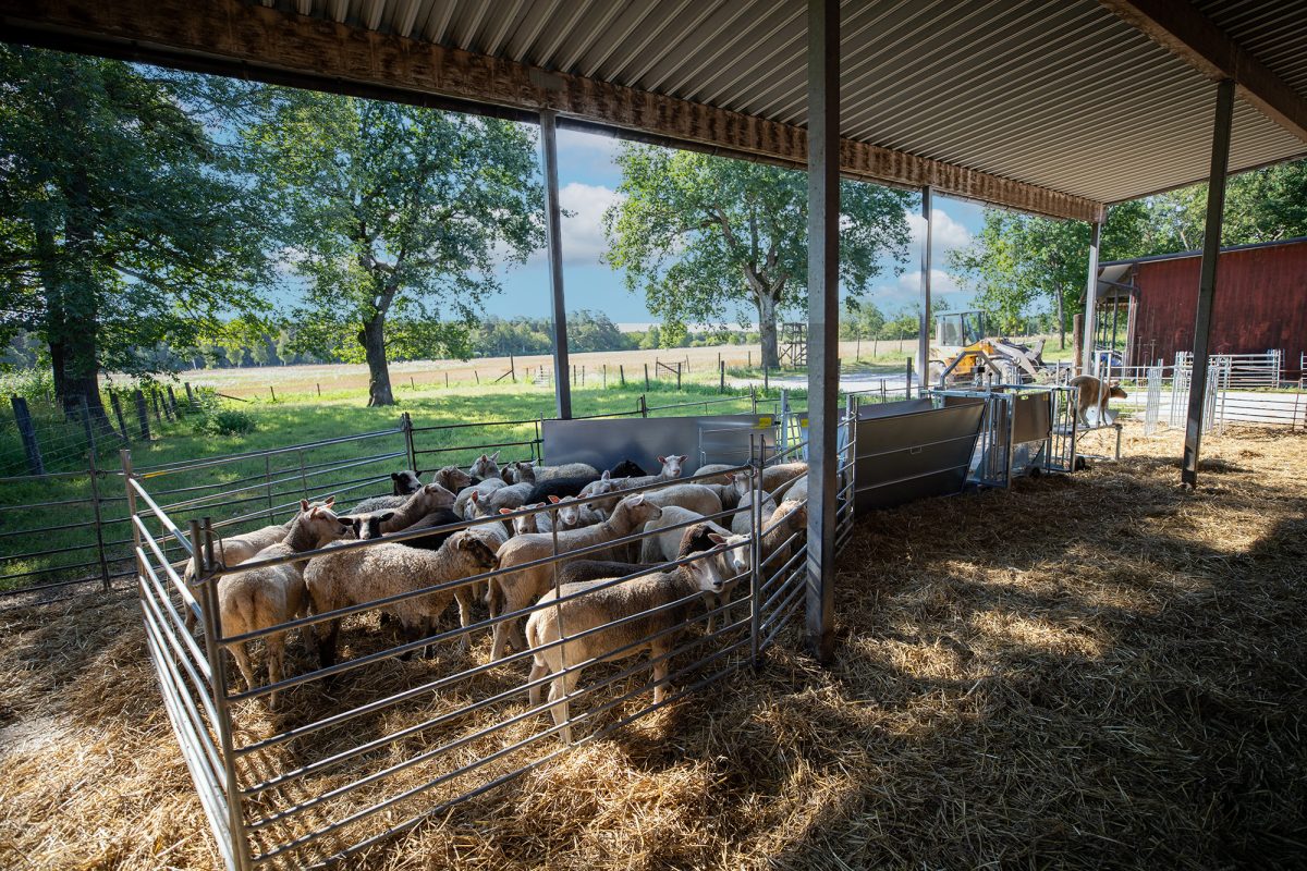 Köp produkter från Siltbergs Smide på granngården.se