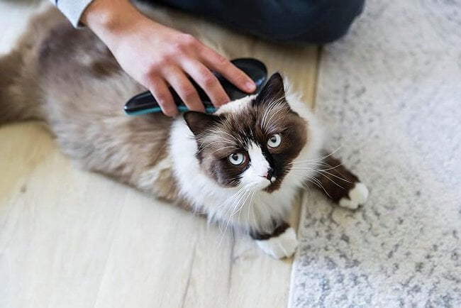 Köp produkter från Trixie online på granngården.se